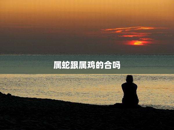 属蛇跟属鸡的合吗
