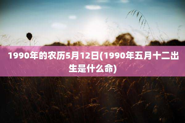 1990年的农历5月12日(1990年五月十二出生是什么命)