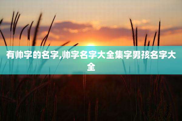 有帅字的名字,帅字名字大全集字男孩名字大全