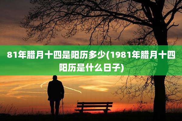 81年腊月十四是阳历多少(1981年腊月十四阳历是什么日子)