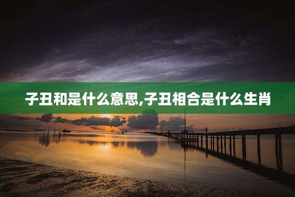 子丑和是什么意思,子丑相合是什么生肖