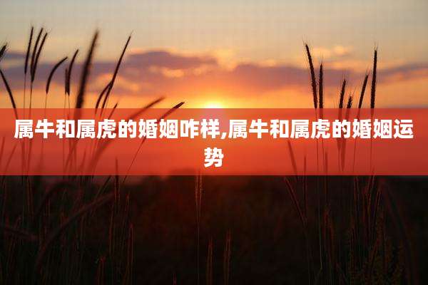 属牛和属虎的婚姻咋样,属牛和属虎的婚姻运势