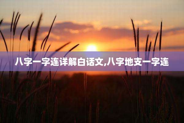 八字一字连详解白话文,八字地支一字连