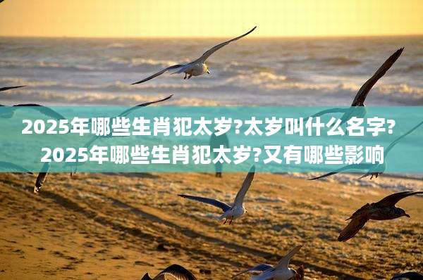 2025年哪些生肖犯太岁?太岁叫什么名字? 2025年哪些生肖犯太岁?又有哪些影响