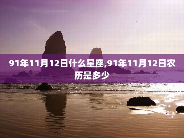 91年11月12日什么星座,91年11月12日农历是多少