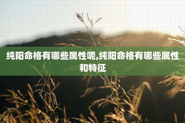 纯阳命格有哪些属性呢,纯阳命格有哪些属性和特征