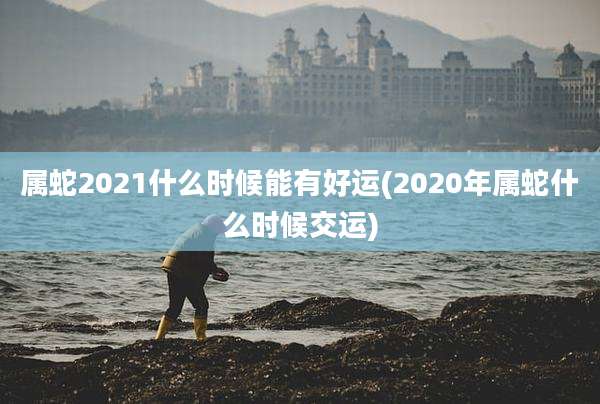 属蛇2021什么时候能有好运(2020年属蛇什么时候交运)