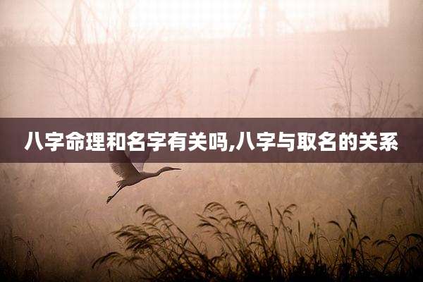 八字命理和名字有关吗,八字与取名的关系