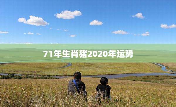 71年生肖猪2020年运势
