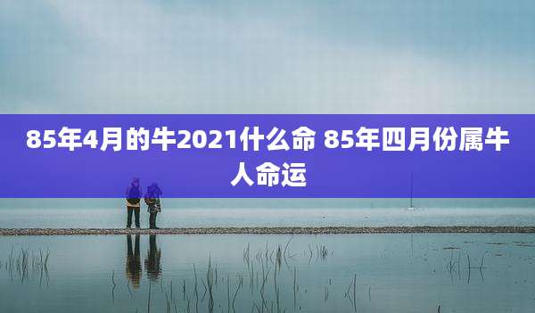 85年4月的牛2021什么命 85年四月份属牛人命运