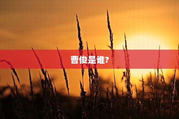 曹俊是谁?