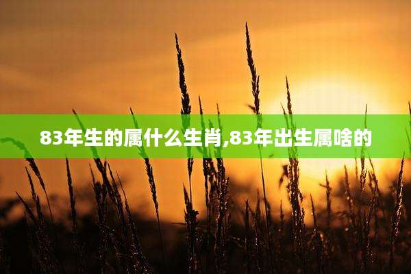 83年生的属什么生肖,83年出生属啥的