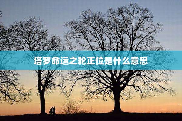 塔罗命运之轮正位是什么意思