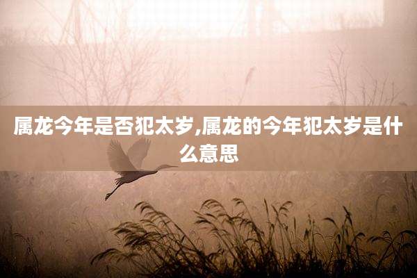 属龙今年是否犯太岁,属龙的今年犯太岁是什么意思