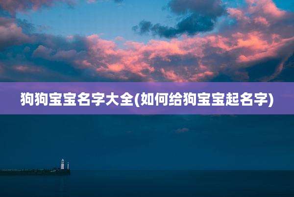 狗狗宝宝名字大全(如何给狗宝宝起名字)