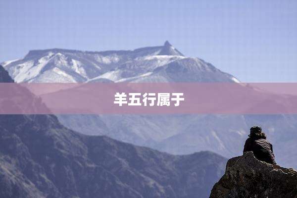 羊五行属于