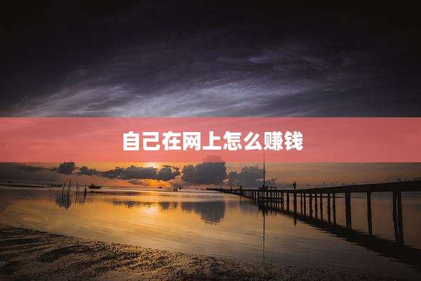 自己在网上怎么赚钱