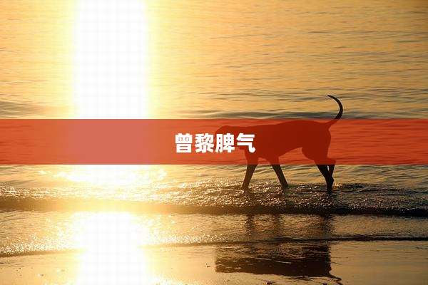 曾黎脾气