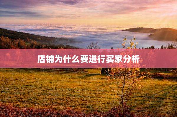 店铺为什么要进行买家分析