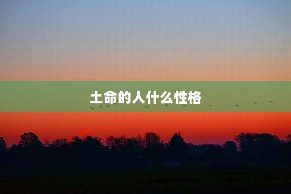 土命的人什么性格