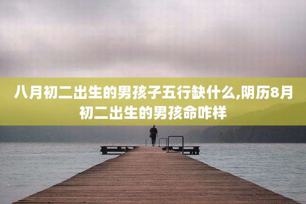 八月初二出生的男孩子五行缺什么,阴历8月初二出生的男孩命咋样
