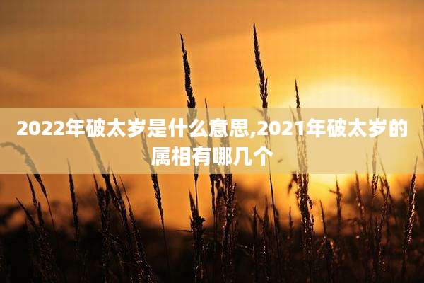 2022年破太岁是什么意思,2021年破太岁的属相有哪几个