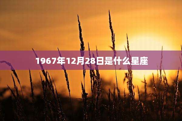 1967年12月28日是什么星座