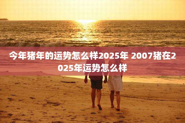 今年猪年的运势怎么样2025年 2007猪在2025年运势怎么样
