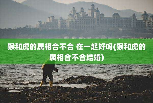 猴和虎的属相合不合 在一起好吗(猴和虎的属相合不合结婚)