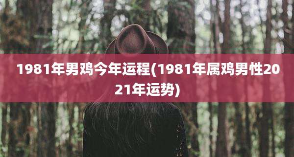 1981年男鸡今年运程(1981年属鸡男性2021年运势)