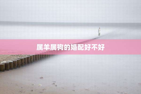 属羊属狗的婚配好不好
