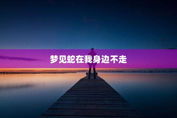 梦见蛇在我身边不走