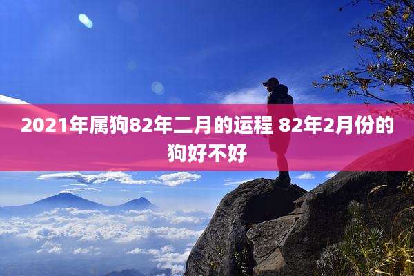 2021年属狗82年二月的运程 82年2月份的狗好不好