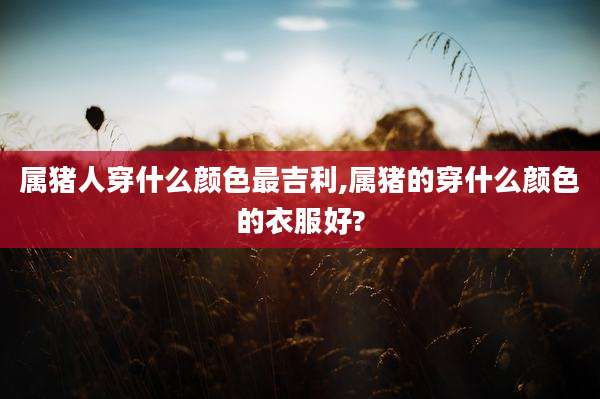 属猪人穿什么颜色最吉利,属猪的穿什么颜色的衣服好?