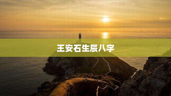 王安石生辰八字