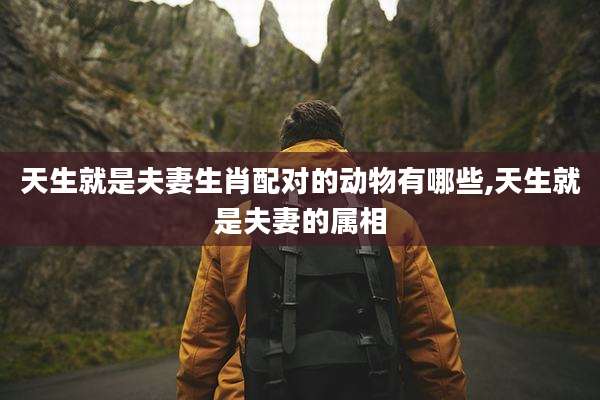 天生就是夫妻生肖配对的动物有哪些,天生就是夫妻的属相