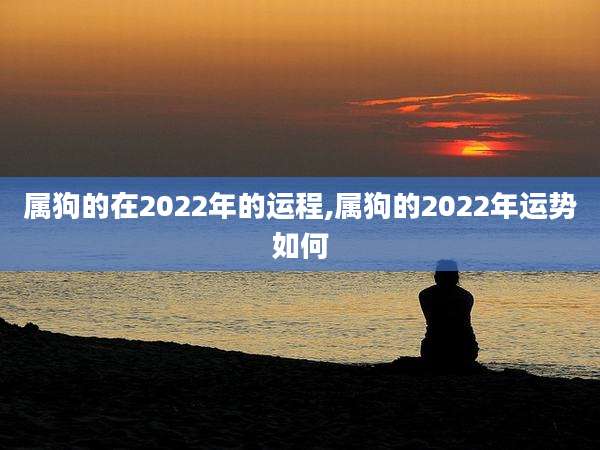属狗的在2022年的运程,属狗的2022年运势如何