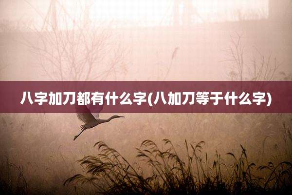 八字加刀都有什么字(八加刀等于什么字)