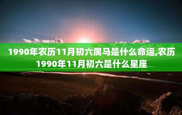 1990年农历11月初六属马是什么命运,农历1990年11月初六是什么星座