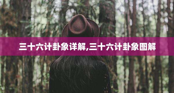 三十六计卦象详解,三十六计卦象图解