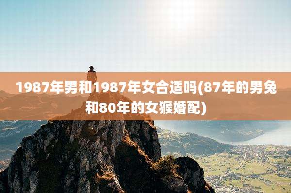 1987年男和1987年女合适吗(87年的男兔和80年的女猴婚配)