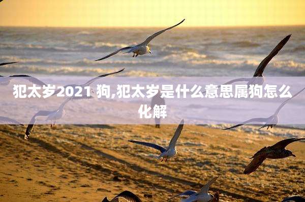 犯太岁2021 狗,犯太岁是什么意思属狗怎么化解