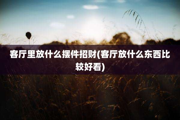 客厅里放什么摆件招财(客厅放什么东西比较好看)