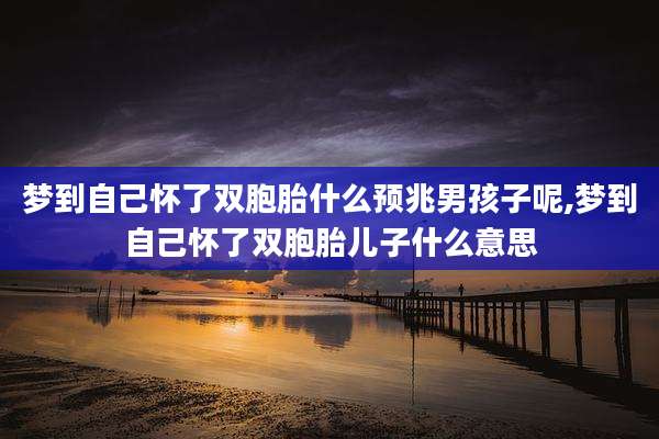 梦到自己怀了双胞胎什么预兆男孩子呢,梦到自己怀了双胞胎儿子什么意思