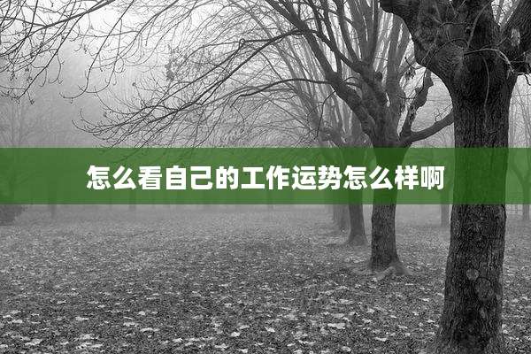 怎么看自己的工作运势怎么样啊
