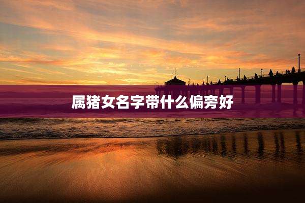 属猪女名字带什么偏旁好