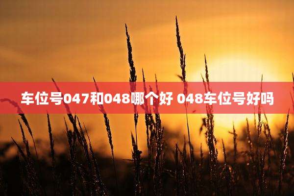 车位号047和048哪个好 048车位号好吗
