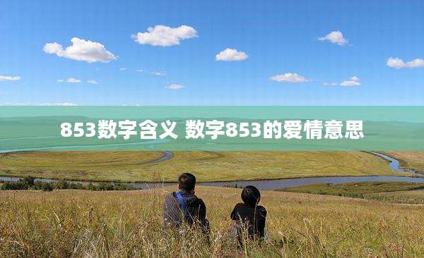 853数字含义 数字853的爱情意思