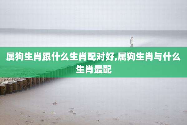 属狗生肖跟什么生肖配对好,属狗生肖与什么生肖最配
