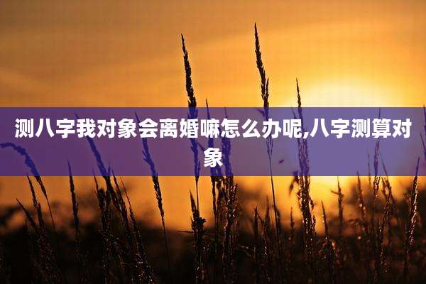 测八字我对象会离婚嘛怎么办呢,八字测算对象